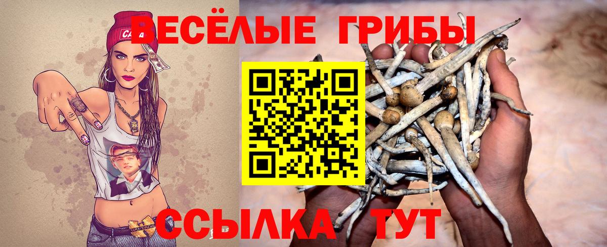 Галлюциногенные грибы мухоморы Сальск