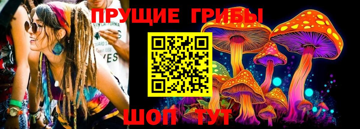 Галлюциногенные грибы прущие грибы  Галлюциногенные грибы мухоморы  Вход с VPN  Сальск 